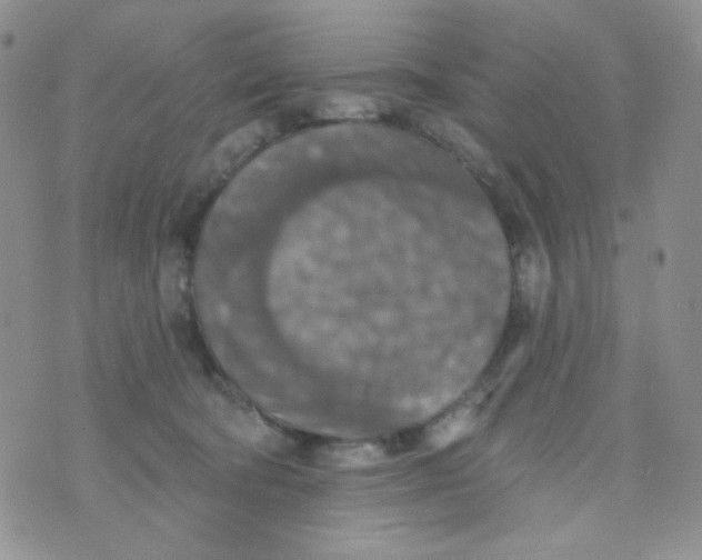 X0000074300322200609151948