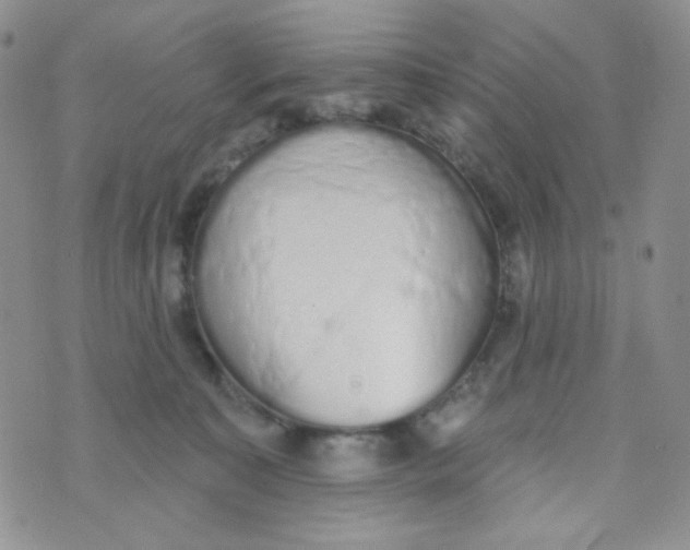 X0000074300323200609151948