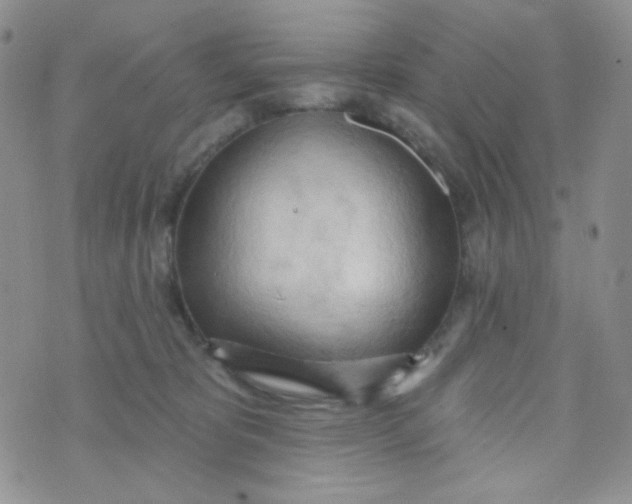 X0000074300325200609151948