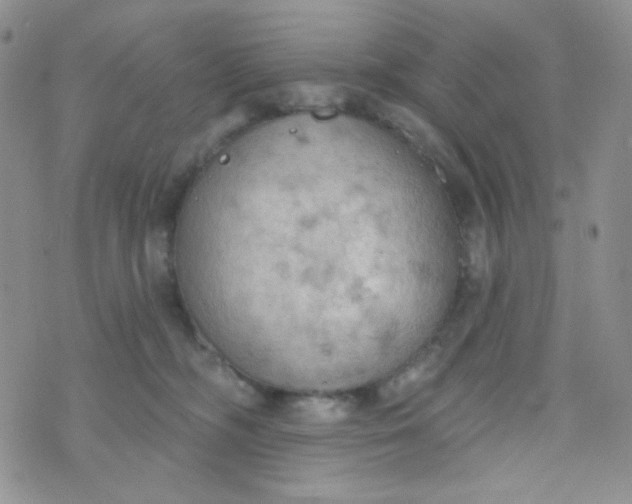 X0000074300326200609151948