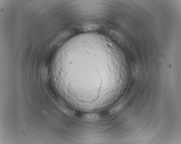 X0000074300327200609151948