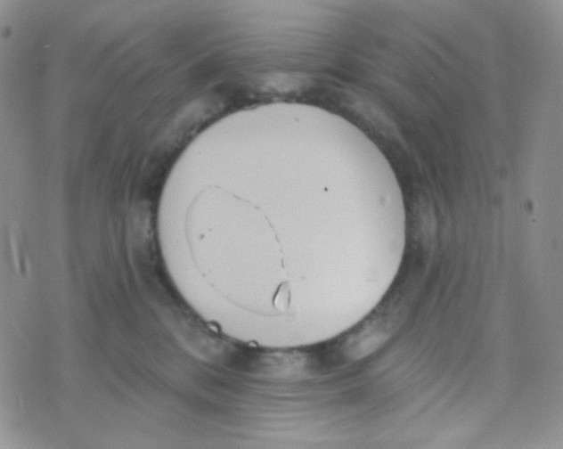 X0000074300328200609151948