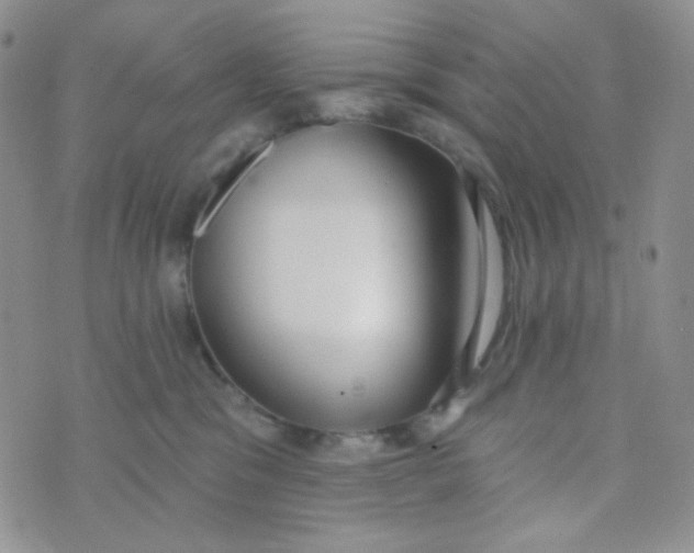 X0000074300329200609151948