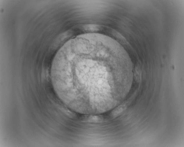 X0000074300330200609151948