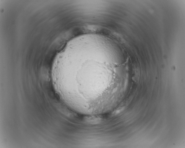 X0000074300331200609151948