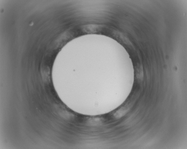 X0000074300332200609151948