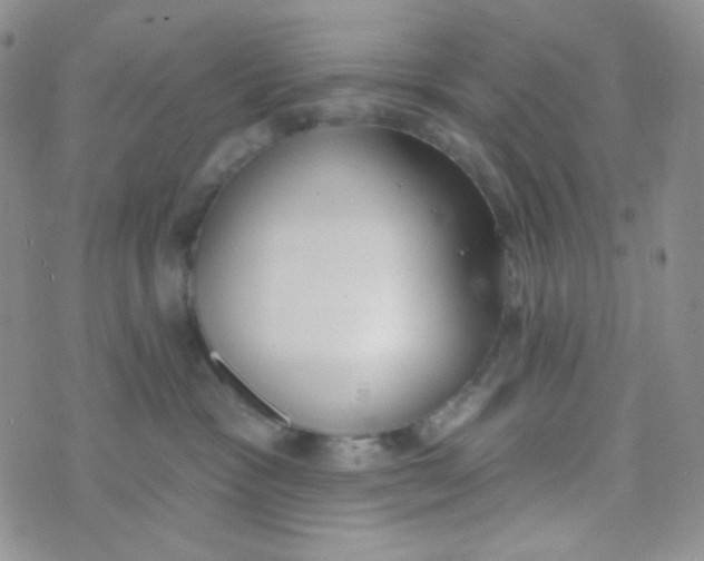 X0000074300333200609151948