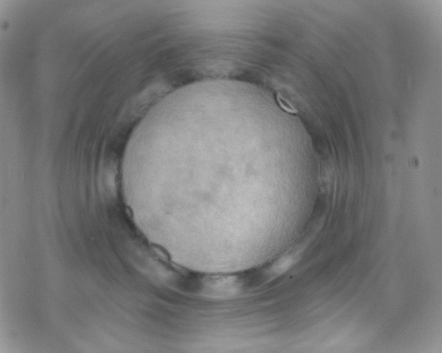 X0000074300334200609151948