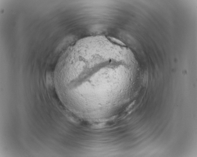 X0000074300335200609151948