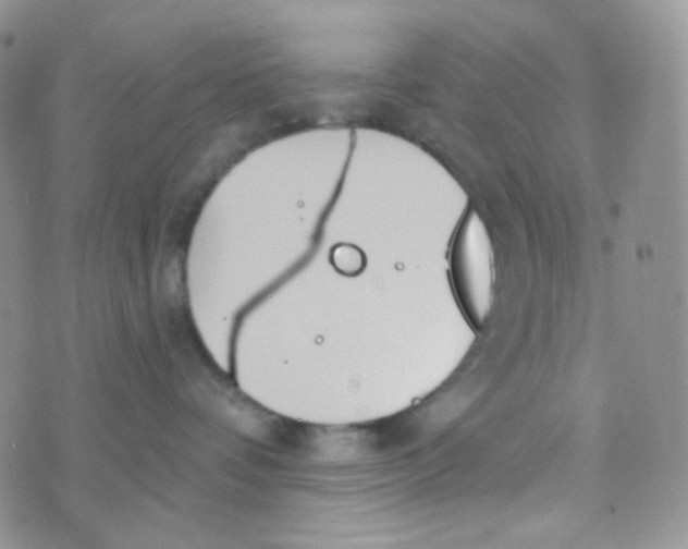 X0000074300336200609151948