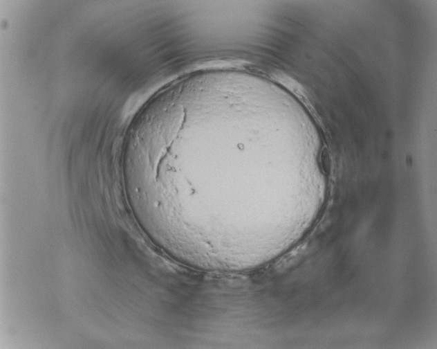 X0000074300337200609151947