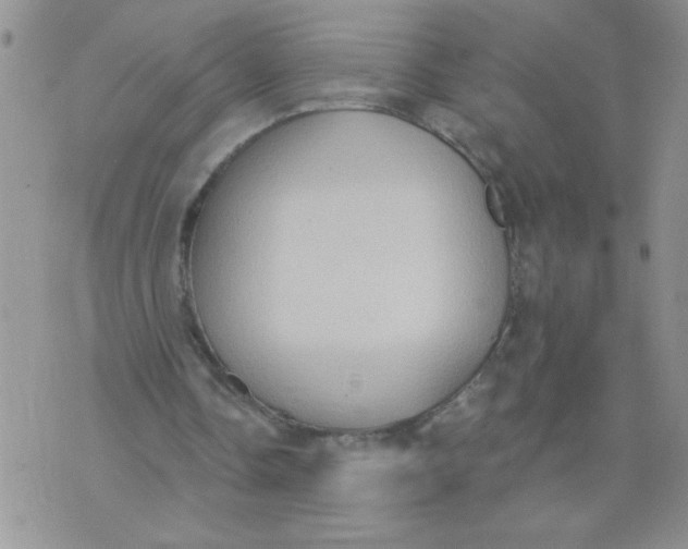 X0000074300338200609151947