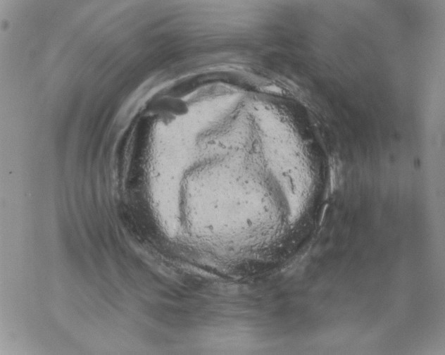 X0000074300339200609151947