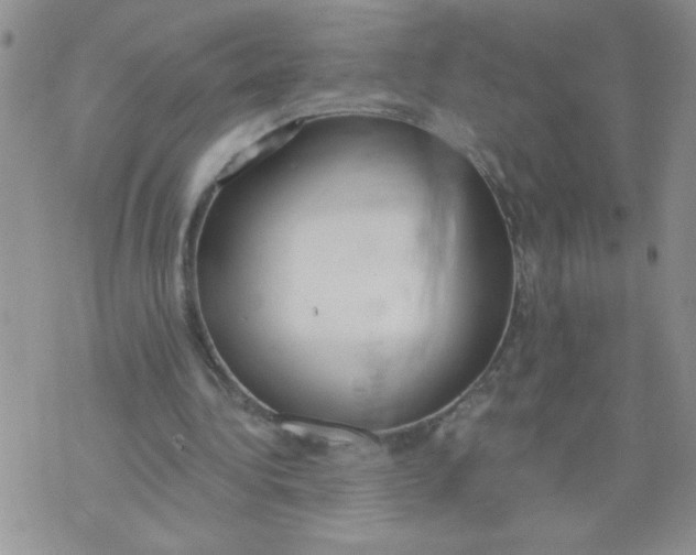 X0000074300340200609151947