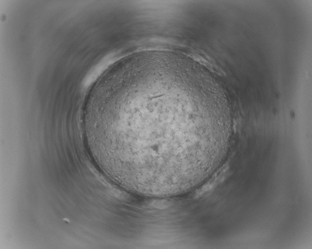 X0000074300341200609151947