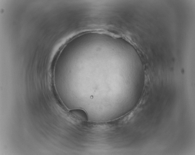 X0000074300342200609151947