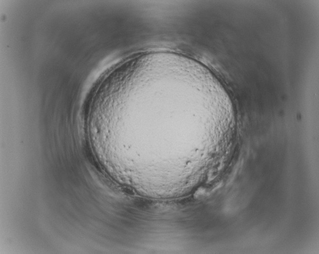 X0000074300343200609151947