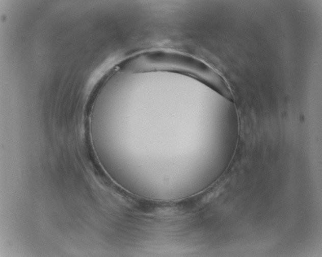 X0000074300344200609151947