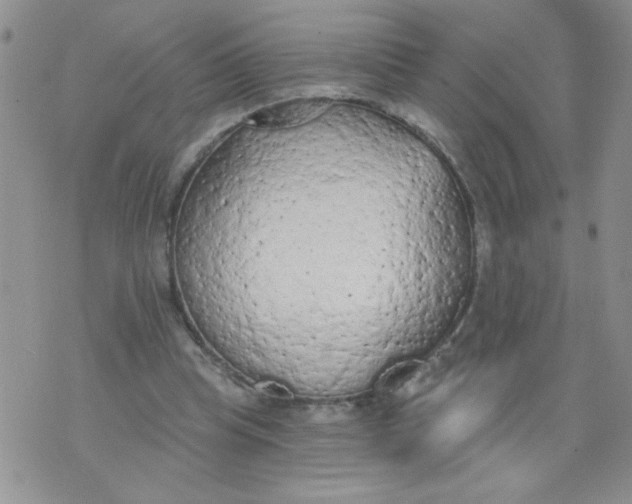 X0000074300345200609151947