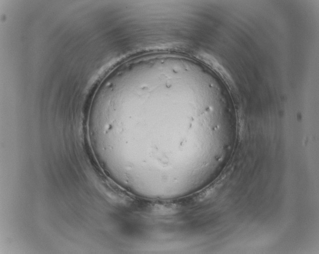 X0000074300346200609151947