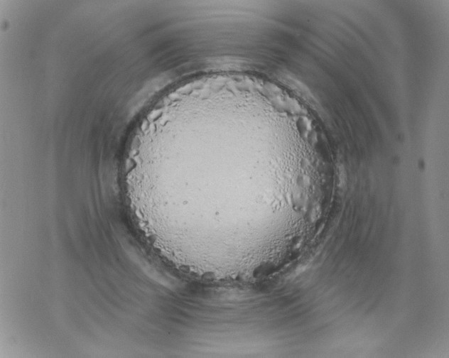 X0000074300347200609151947