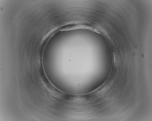 X0000074300348200609151947