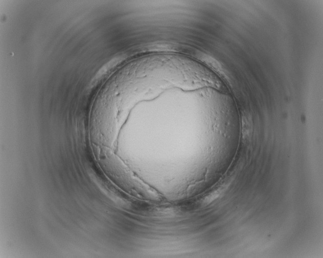 X0000074300349200609151947