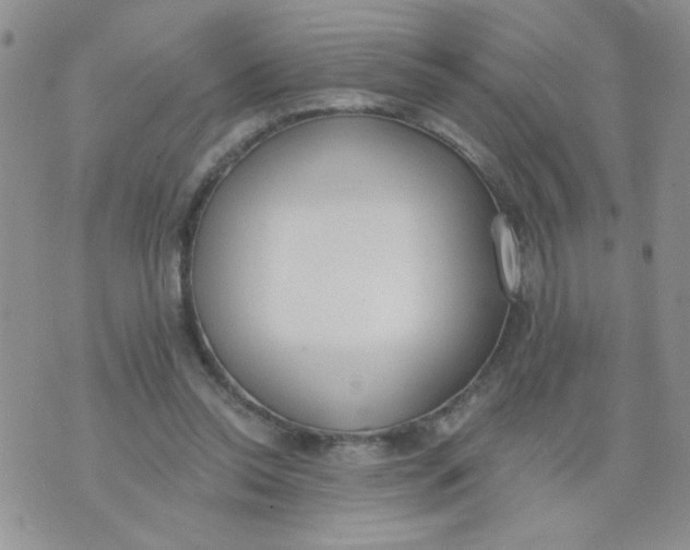 X0000074300350200609151947