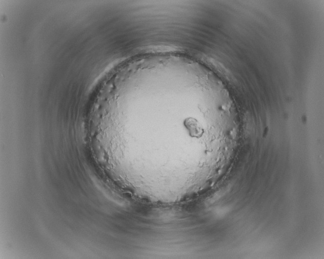 X0000074300351200609151947