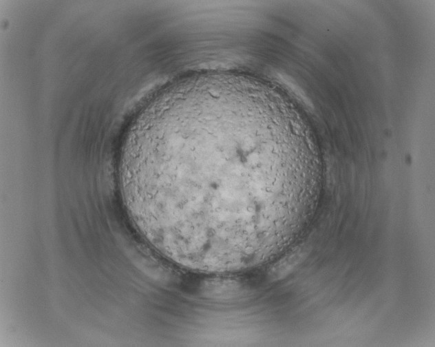 X0000074300354200609151947