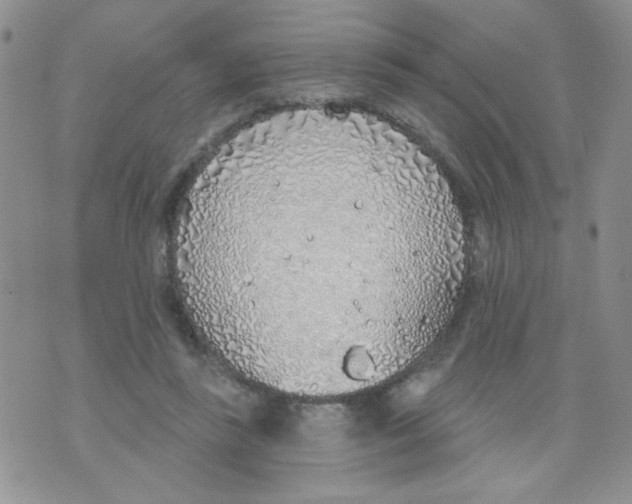 X0000074300355200609151947