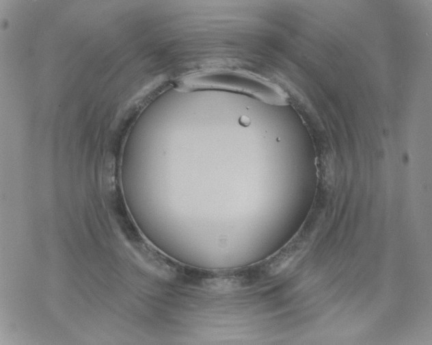 X0000074300356200609151947