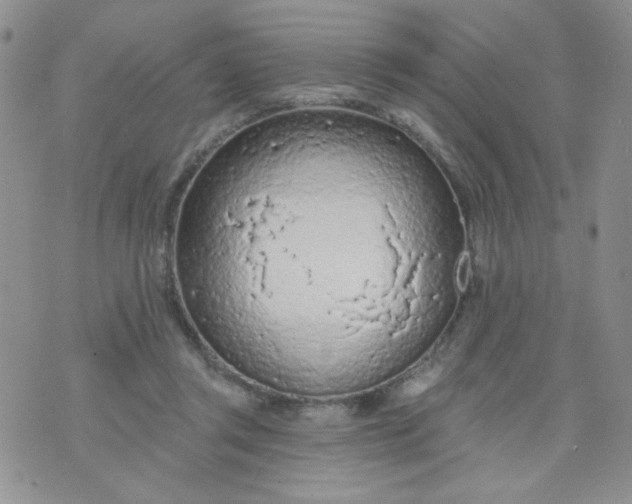 X0000074300357200609151947