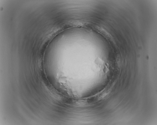 X0000074300359200609151947