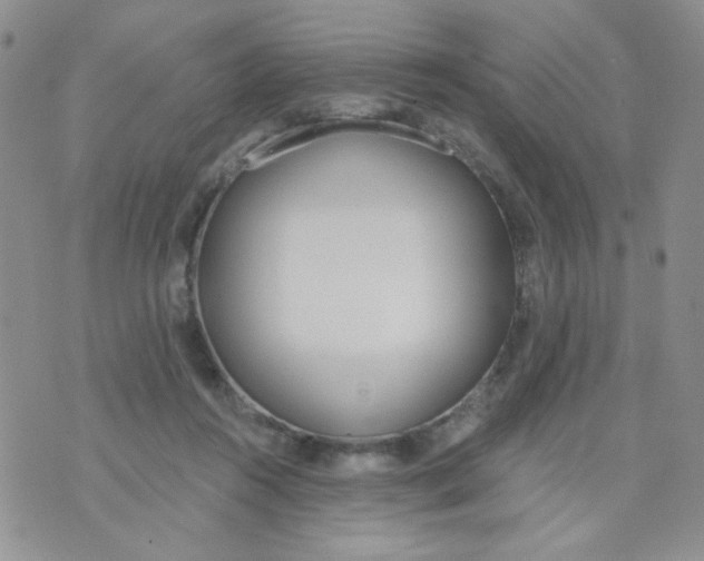 X0000074300360200609151947