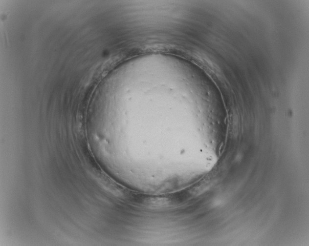 X0000074300361200609151947