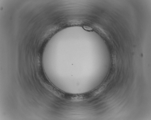 X0000074300362200609151947