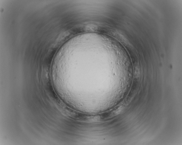 X0000074300363200609151947