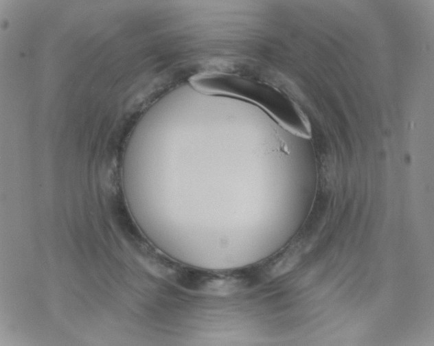 X0000074300364200609151948