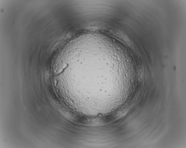 X0000074300365200609151948