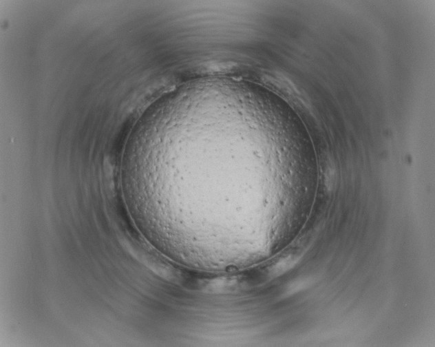 X0000074300366200609151948