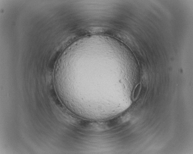 X0000074300367200609151948