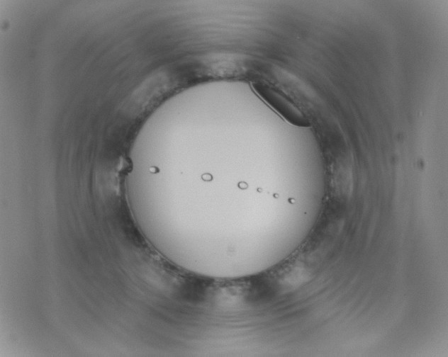 X0000074300368200609151948