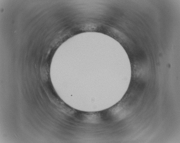 X0000074300370200609151948