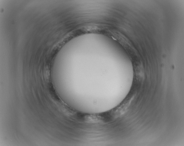 X0000074300372200609151948