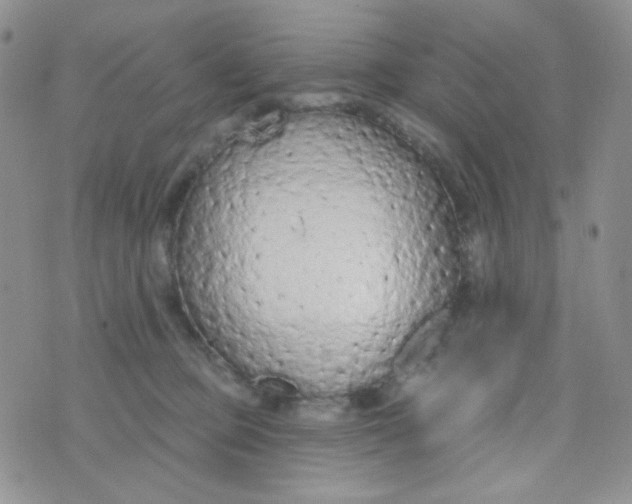 X0000074300373200609151948