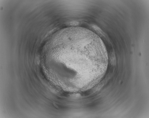 X0000074300374200609151948