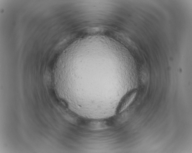 X0000074300375200609151948