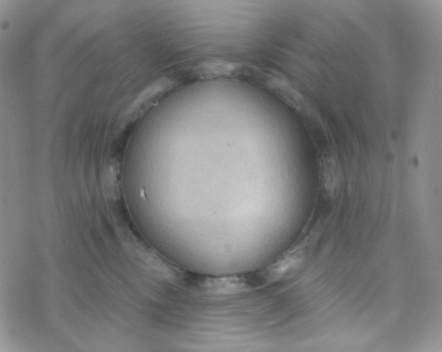 X0000074300378200609151948