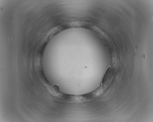 X0000074300379200609151948